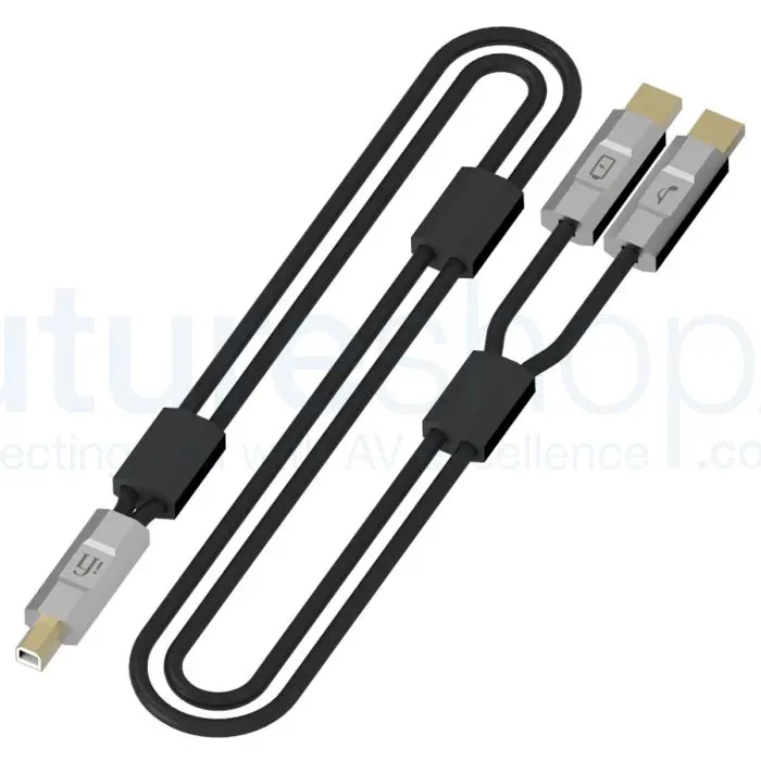 iFi Gemini 3.0 USBオーディオケーブル 70cm USB-B iFi Gemini 3.0 USB