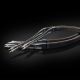 Tellurium Q Statement II Speaker Cable - Factory Terminated