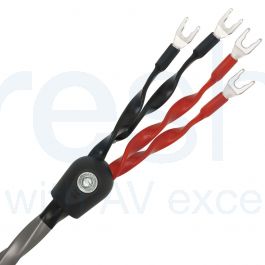 Câble Enceinte Wireworld Equinox 8 - Par Paire - Terminé Banane 4mm - 11 AWG