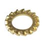 WBT-9150 Fan Shape Lock Washer