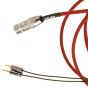Atlas Zeno 1:2 Custom Headphone Cable