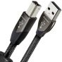 AudioQuest Diamond USB Type A to Type B Data Cable