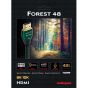 AudioQuest Forest 48G HDMI Cable