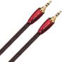 Audioquest Golden Gate, 3.5mm to 3.5mm Jack Cable