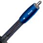 Audioquest Water, 2 RCA to 2 RCA Audio Cable