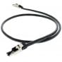 AudioQuest CAT7 Carbon RJ/E Ethernet Cable Custom