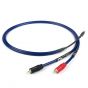 Chord Clearway Analogue 3.5mm to 2 RCA cable