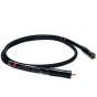 Gold Note Firenze Plus 2 RCA to 2 RCA Analogue Audio Cable