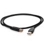 Gold Note Firenze Type A to Type B USB Audio Cable - 1m Length