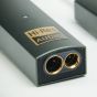 iFi Audio Go Link MAX Portable DAC/Headphone Amplifier