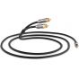 QED Performance J2P 3.5mm mini-jack to 2 RCA Cable (Graphite)