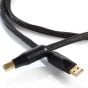 Shunyata Research Alpha v2 USB Type A to USB Type B Cable - 1.5m