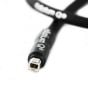 Tellurium Q, Black USB Type A to Type B Cable
