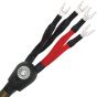 Wireworld Gold Eclipse 7 Bi-Wire Speaker Cable Factory Terminated - Custom Length