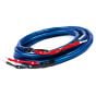 Wireworld Oasis 6 Speaker Cable (Pair) - 1m 