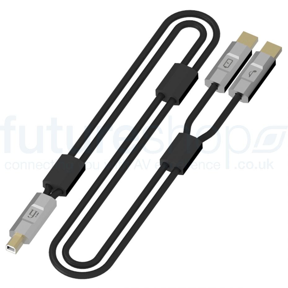 iFi Audio Gemini Dual-Headed USB Cable