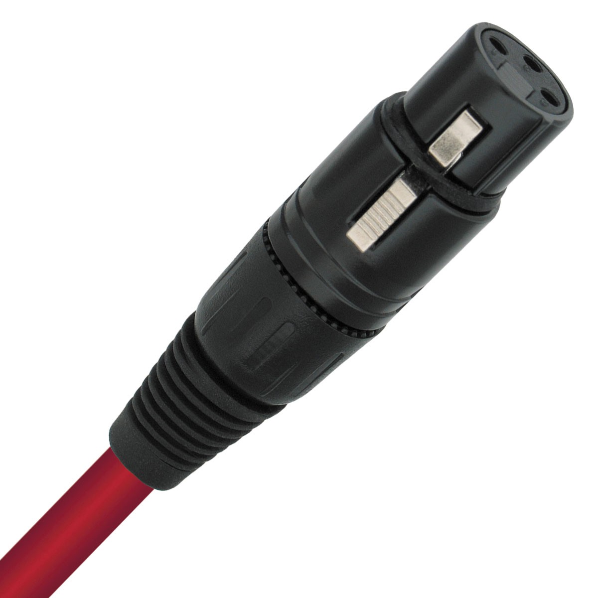 洋楽 WHAT KIND OF WORLD / CABLES CABLES / WHAT KIND OF WORLD – TICRO MARKET