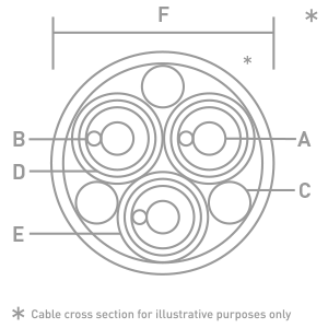 Ascentiion cross cut image